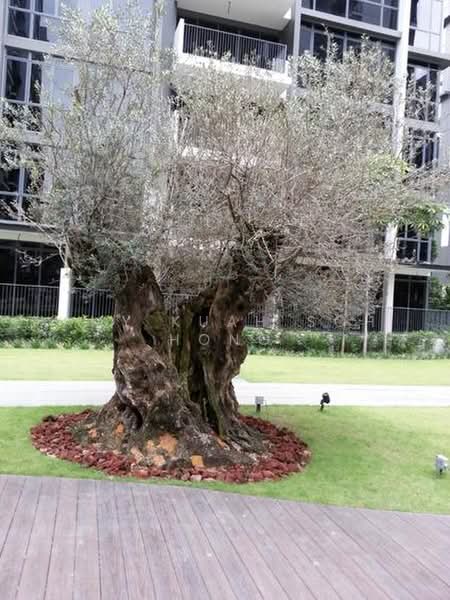 La Fiesta, Sengkang Square, 1 Bedroom, 431 sqft, Condominium For Rent, by Amy Kuah Soh Hong, 22253432 - PropertyGuru.com.sg