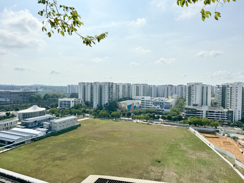 Unblock greenery view