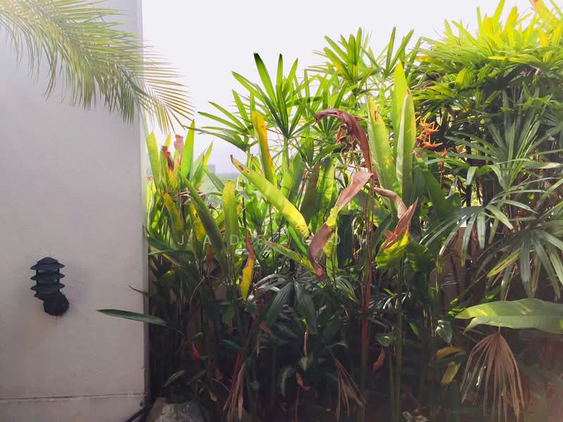 The Capri, 78 Stevens Road, 3 Bedrooms, 1,750 sqft, Apartment For Rent, by Jade Goh, 22263228 - PropertyGuru.com.sg