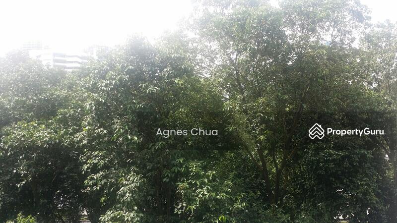 For Rent - Hundred Trees