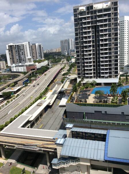 Maysprings, 2 Petir Road, 2 Bedrooms, 818 sqft, Apartment For Rent, by Teresa Tng, 22313374 - PropertyGuru.com.sg