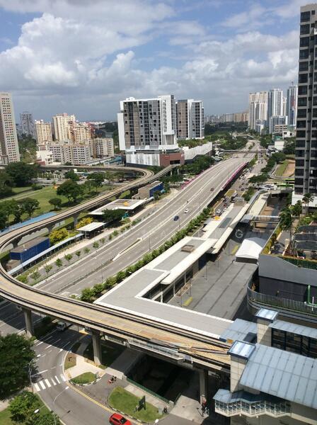 Maysprings, 2 Petir Road, 2 Bedrooms, 818 sqft, Apartment For Rent, by Teresa Tng, 22313374 - PropertyGuru.com.sg