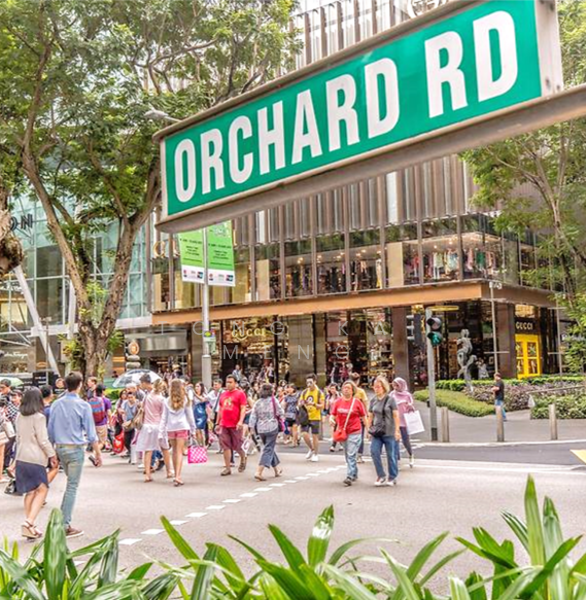 ❤️HEART of ORCHARD !! LUXURIOUS HOMES !! TOP Quality, Spacious Rooms☎️9654.3774 TONG, Jalan Kayu Manis / Lada Puteh / Jintan / Elok, 5 Bedrooms, 5,300 sqft, Terraced House For Sale, by Tong Kai Meng 唐皆明, 22313429 - PropertyGuru.com.sg