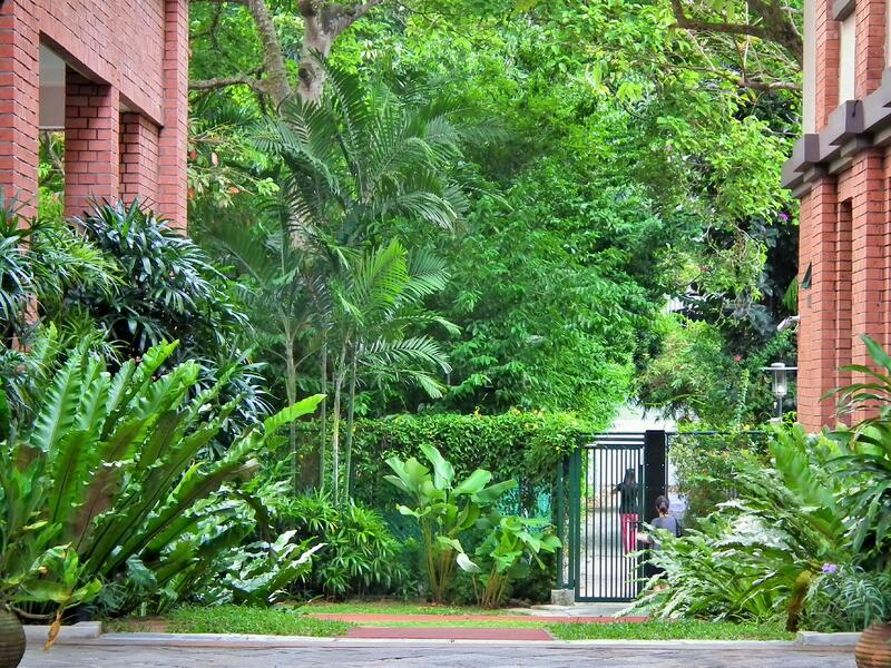 For Rent - Palm Spring