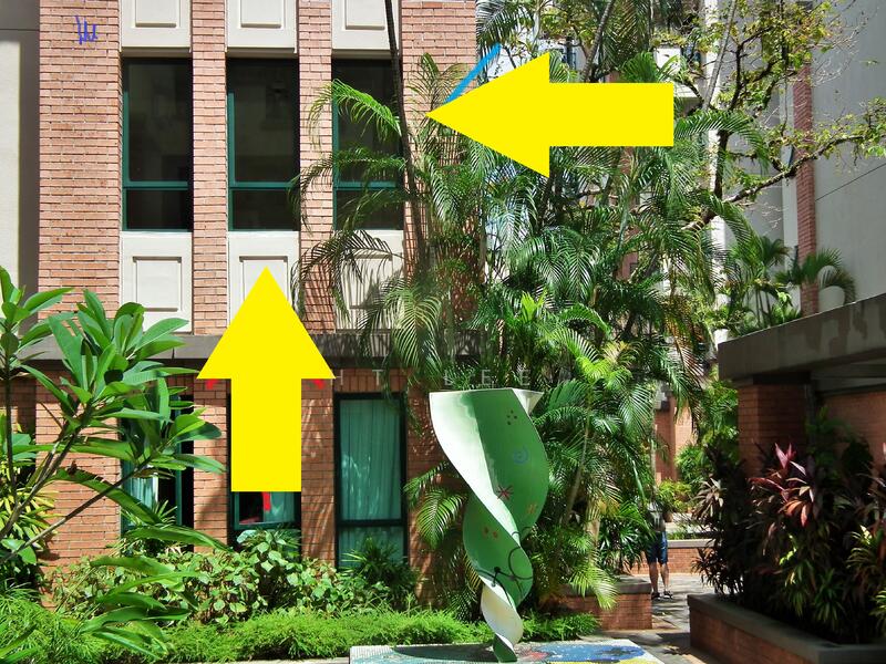 For Rent - Palm Spring