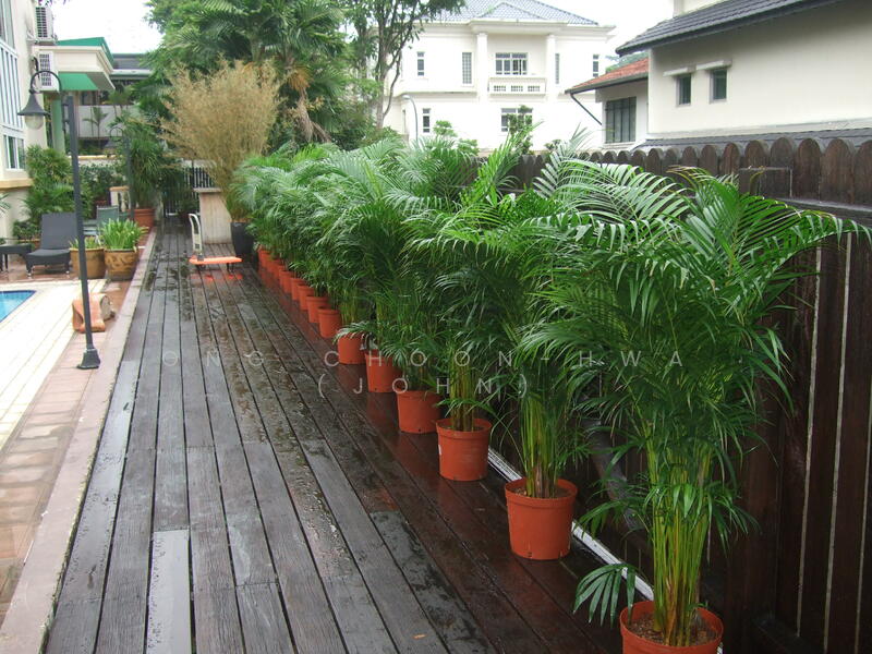 Decking at poolside.
