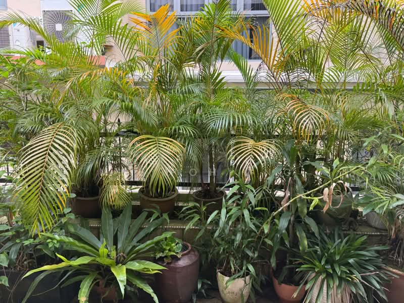 chiltern park, Chiltern park, Room Rental, 120 sqft, Condominium For Rent, by Mee Poh Ong, 22384066 - PropertyGuru.com.sg