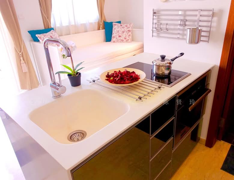 Parc Imperial, 253 Pasir Panjang Road, Studio, 409 sqft, Condominium For Rent, by Summer Chan 陈贤玲, 22525894 - PropertyGuru.com.sg