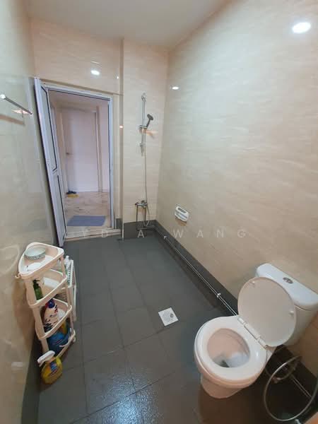 Elizabeth Tower, 12 Mount Elizabeth, Room Rental, 200 sqft, Condominium For Rent, by Lydia Wang, 22545938 - PropertyGuru.com.sg
