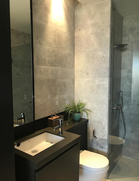 OUE Twin Peaks, 33 Leonie Hill Road, Orchard / River Valley, 1 Bedroom, 549 sqft, Condominium For Rent, by Shirley Ong 王秀榛, 22670105 - PropertyGuru.com.sg