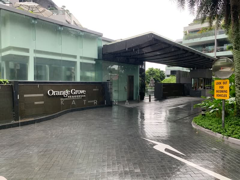 Orange Grove Residences, 29 Orange Grove Road, 4 Bedrooms, 2,390 sqft, Condominium For Rent, by Katrina Tan, 22848659 - PropertyGuru.com.sg