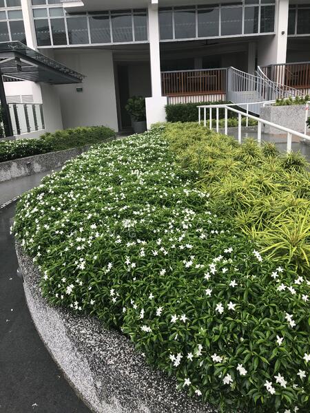 For Rent - Queens Peak