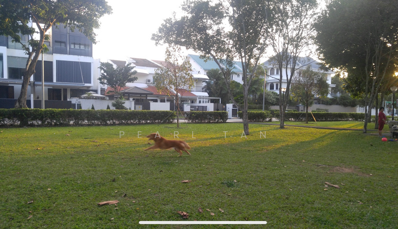 For Sale - ❤️❤️HUGE REGULAR PLOT! SUBDIVISIBLE TO 6 SEMI-Ds! 1 KM NYPS ☎️PEARL 91890881