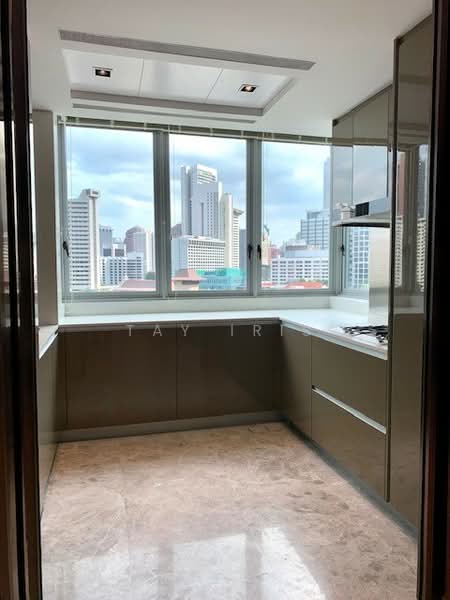Draycott Eight, 6 Draycott Park, 4 Bedrooms, 2,905 sqft, Condominium For Rent, by Tay Iris, 22889584 - PropertyGuru.com.sg