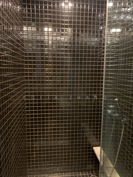 Skysuites @ Anson, 8 Enggor Street, Studio, 365 sqft, Condominium For Rent, by Sofia Zhang, 22934428 - PropertyGuru.com.sg