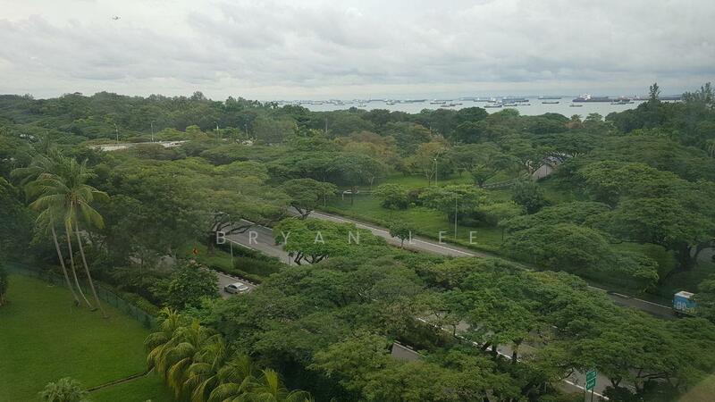 Nice Superb View!