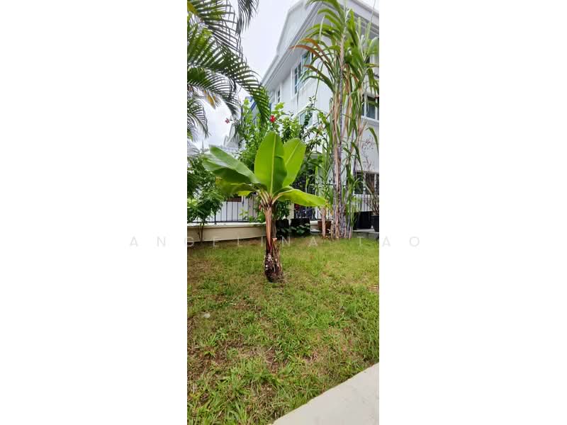 30a Lorong marican, Eunos / Geylang / Paya Lebar, Room Rental, 280 sqft, Semi-Detached House For Rent, by Angelina Tao, 23003263 - PropertyGuru.com.sg
