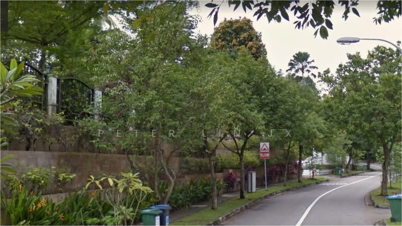 ⚡️S$18xx PSF Only!!!⚡️Near Orchard & CBD!⚡️Squarish Plot⚡️(顶级优质洋房)❤️(9295-8888 祝您祝我, 发发发发)❤️, Tanglin / Holland / Bukit Timah, 5 Bedrooms, 8,000 sqft, Good Class Bungalow For Sale, by Peter Lin JX 林俊熙, 23023155 - PropertyGuru.com.sg