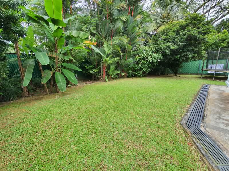 ⚡️S$18xx PSF Only!!!⚡️Near Orchard & CBD!⚡️Squarish Plot⚡️(顶级优质洋房)❤️(9295-8888 祝您祝我, 发发发发)❤️, Tanglin / Holland / Bukit Timah, 5 Bedrooms, 8,000 sqft, Good Class Bungalow For Sale, by Peter Lin JX 林俊熙, 23023155 - PropertyGuru.com.sg