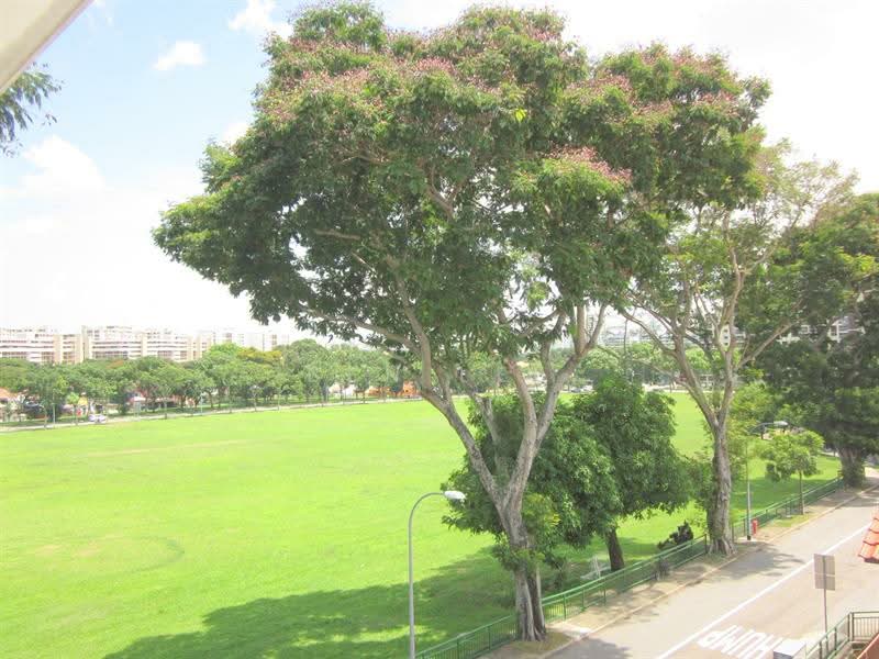 Hougang Mrt 4F M1 Master bedroom, Jalan Naung, Room Rental, 200 sqft, Corner Terrace For Rent, by Ben Lee, 23025552 - Unblock greenery view - PropertyGuru.com.sg