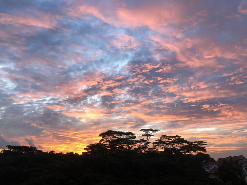 Signature Park, 46A Toh Tuck Road, 2 Bedrooms, 1,033 sqft, Condominium For Rent, by Jocelyn Wee, 23067937 - PropertyGuru.com.sg