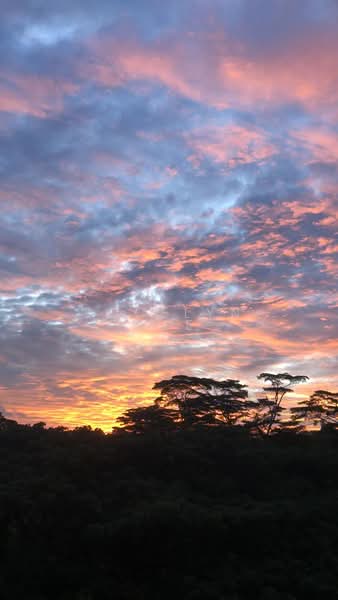 Signature Park, 46A Toh Tuck Road, 2 Bedrooms, 1,033 sqft, Condominium For Rent, by Jocelyn Wee, 23067937 - PropertyGuru.com.sg