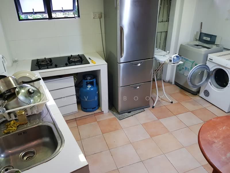 Emerald Hill Conservation Area, Emerald Hill Road, Room Rental, 170 sqft, Conservation House For Rent, by David Boon, 23078631 - PropertyGuru.com.sg