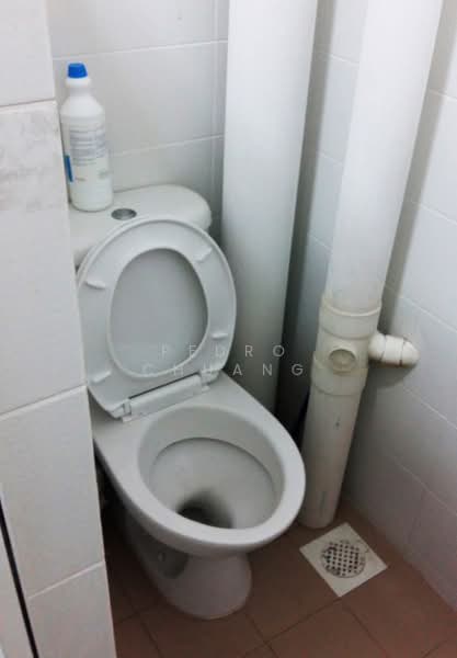Kerrisdale, 36 Sturdee Road, Room Rental, 75 sqft, Condominium For Rent, by Pedro Chuang, 23089792 - PropertyGuru.com.sg