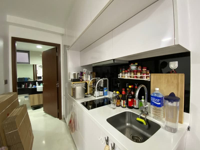 Alexis, 356 Alexandra Road, 1 Bedroom, 409 sqft, Condominium For Rent, by Serene Tey, 23109753 - PropertyGuru.com.sg