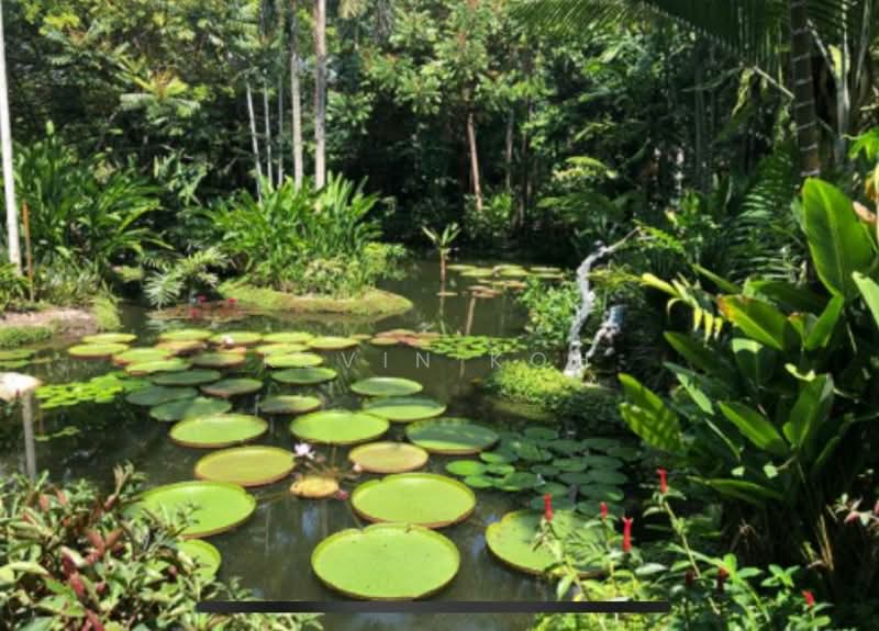 Swettenham Road Bungalow for Lease, , 7 Bedrooms, 11,000 sqft, Good Class Bungalow For Rent, by Kevin Koh, 23122699 - Botanical Gardens Nearby - PropertyGuru.com.sg