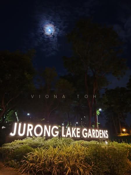 Jurong Lake Garden right opposite Lake Life condo