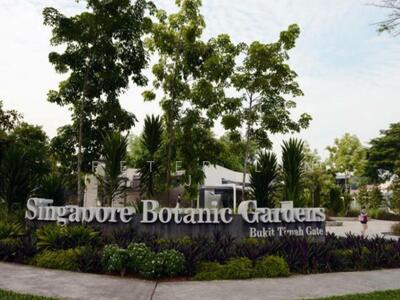 For Sale - Don't Miss!!! Squarish & Flat Land! Wide Frontage! Squarish! (顶级优质洋房) (9295☎️8888 祝您祝我, 发发发发)