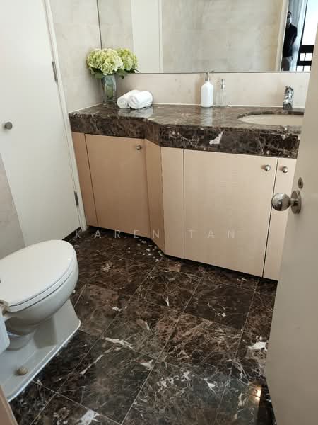 The Colonnade, 82 Grange Road, 3 Bedrooms, 3,617 sqft, Condominium For Rent, by Karen Tan, 23143042 - PropertyGuru.com.sg