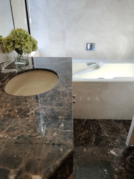 The Colonnade, 82 Grange Road, 3 Bedrooms, 3,617 sqft, Condominium For Rent, by Karen Tan, 23143042 - PropertyGuru.com.sg