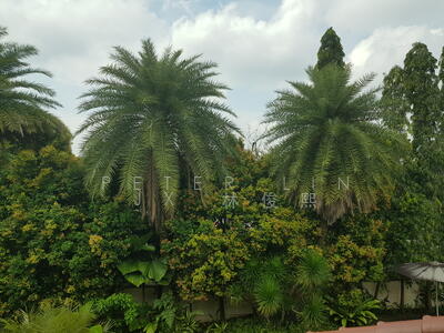 For Sale - Near Botanic Garden! Squarish! Build Natural Basement! Green! (顶级优质洋房) (9295☎️8888 祝您祝我, 发发发发)