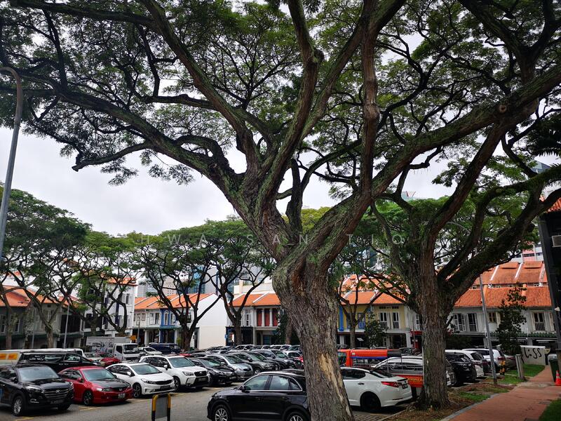 ❤️ Shophouse ⭐Professionals Enclave ⭐renovated @ Duxton Hill, Duxton Hill, Chinatown / Tanjong Pagar, 624 sqft, Shop / Shophouse For Rent, by Hwa San TIO, 23205299 - CommercialGuru.com.sg