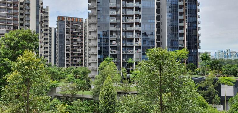 View from common room