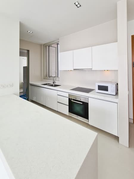 The Cosmopolitan, 200 Kim Seng Road, 4 Bedrooms, 1,679 sqft, Condominium For Rent, by Cyril Tuzemen, 23299688 - PropertyGuru.com.sg