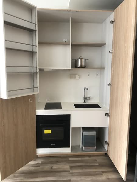 OUE Twin Peaks, 33 Leonie Hill Road, 1 Bedroom, 549 sqft, Condominium For Rent, by Cecilia Ng, 23315607 - PropertyGuru.com.sg