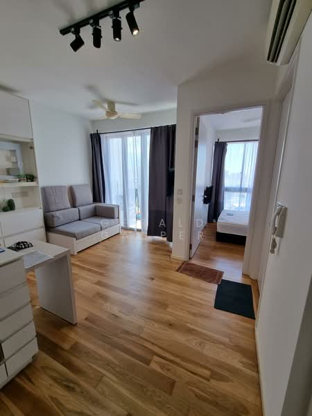 Okio, 262 BALESTIER ROAD, 1 Bedroom, 420 sqft, Condominium For Rent, by Gerald Gasper, 23335144 - PropertyGuru.com.sg