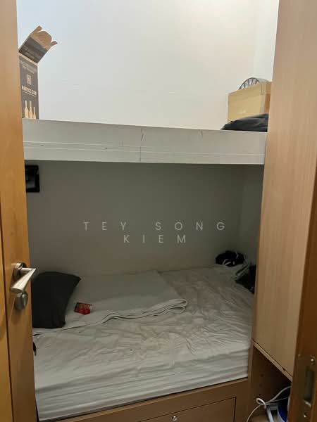 Ardmore Park, 15 Ardmore Park, 4 Bedrooms, 2,885 sqft, Condominium For Rent, by Tey Song Kiem, 23339858 - PropertyGuru.com.sg