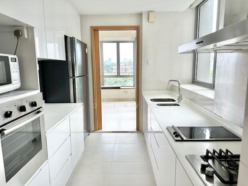 Park Infinia at Wee Nam, 2 Lincoln Road, Newton / Novena, 3 Bedrooms, 1,464 sqft, Condominium For Rent, by Chong Lay Guan, 23352650 - Fully-quipped kitchen with sliding door and large windows for brightness and ventilation. - PropertyGuru.com.sg