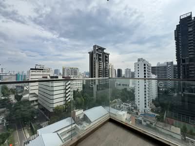 For Sale - Neem Tree