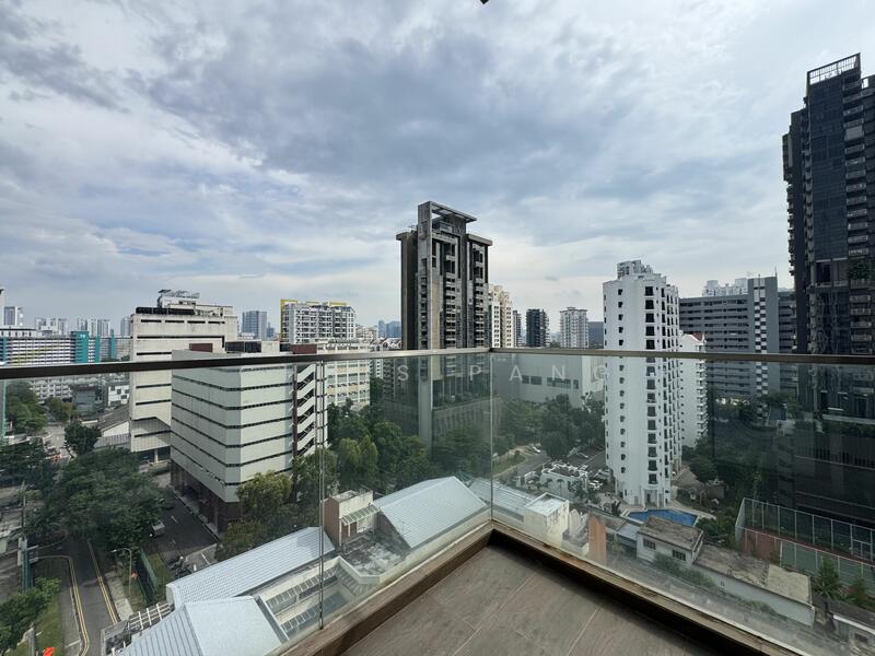 For Sale - Neem Tree