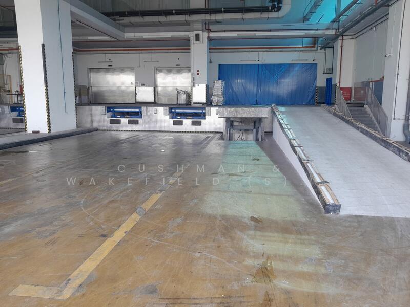 Food Factory at Senoko Road, Senoko Road, 50,000 sqft, Factory / Workshop (B2) For Rent, by JONATHAN TAN, 23370829 - CommercialGuru.com.sg