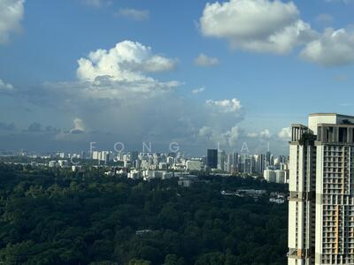 For Sale - Queens Peak