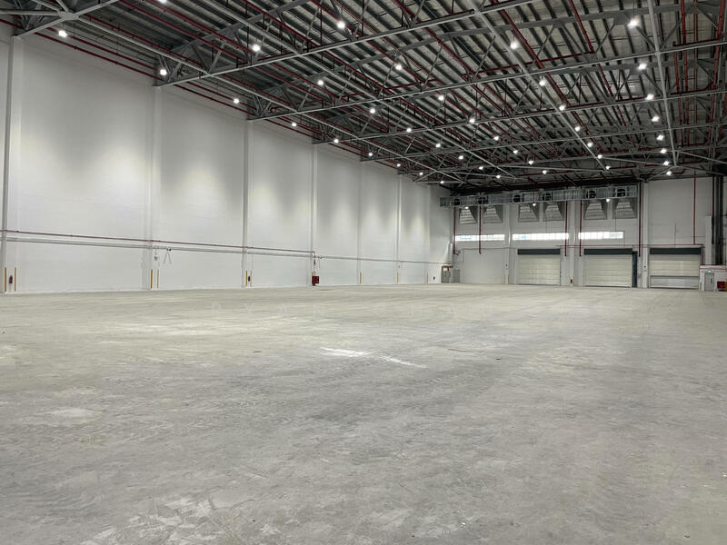 15m Clear | Columnfree | Ample Loading Bays @ Loyang Area, Loyang Area, 37,000 sqft, Warehouse For Rent, by Ryan Chau, 23382067 - CommercialGuru.com.sg