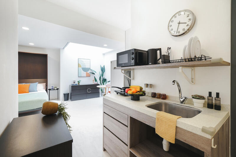 32A South Buona Vista Road, , 1 Bedroom, 236 sqft, Shophouse For Rent, by Cove, 23388568 - Room 203 - kitchenette - PropertyGuru.com.sg