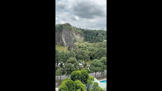 Guilin View, 22 Bukit Batok Street 52, 3 Bedrooms, 1,259 sqft, Condominium For Rent, by Alvin Toh, 23409038 - PropertyGuru.com.sg