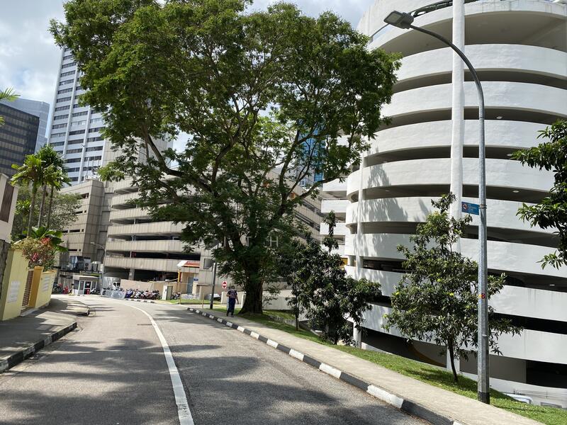 Walk to Paragon